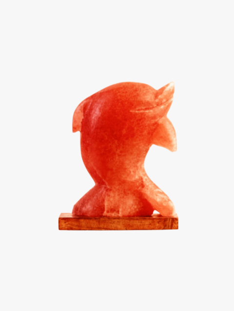 Figure Shape