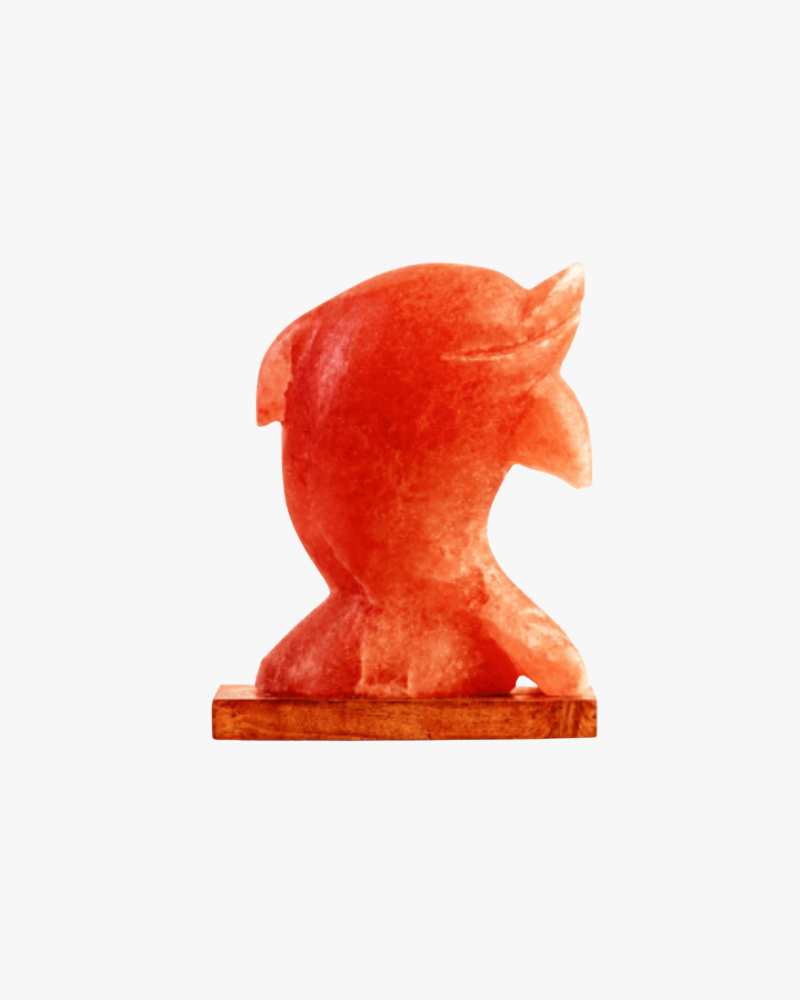 Figure Shape