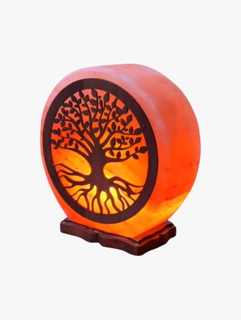 3D Salt Lamps